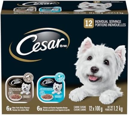 CESAR Filets in Sauce Wet Dog Food - 6 New York Strip Flavour and 6 Chicken & Garden Vegetable, 12x100g