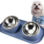 Dog Bowls Tilted Anti Spill Pet Feeder Bowl Removable Double Stainless Steel Food and Water Bowl Set Non Slip Easy to Clean Dog Dish