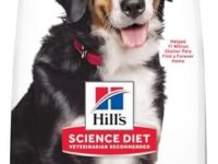 Hill's Science Diet Adult Large Breed Dry Dog Food, Lamb Meal & Brown Rice Recipe, 33 lb Bag