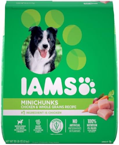 IAMS Proactive Health Minichunks Dog Food Dry Adult, Chicken & Whole Grains Recipe, 13.61kg (30LB) Bag