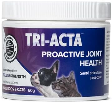 Integricare Muscle and Joint Supplement for Pets - Hip and Joint Supplement with Msm Powder, Chondroitin - Glucosamine for Dogs and Cats, for Ultimate Pet Nutrition - 60g