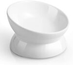 LoeJan Elevated Cat Food Bowl, 5 Oz Ceramic Raised and Tilted Pet Water Bowl, Anti Vomiting and Protect Pets' Spines Cat Dishes for Small Dog, Fat Faced Cat, Kitten (White, 5 OZ)