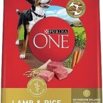 Purina ONE Dry Dog Food, Lamb & Rice - 14 kg Bag