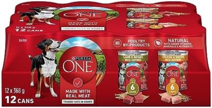 Purina ONE Tender Cuts Wet Dog Food, in Gravy Variety Pack 2 Flavours - 368 g Can (12 Pack)