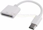 AngelicaPeony 30pin Female to USB 3.1 Type C Male USB-C Adapter Cable Computers Components Accessories Adapters