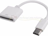 AngelicaPeony 30pin Female to USB 3.1 Type C Male USB-C Adapter Cable Computers Components Accessories Adapters