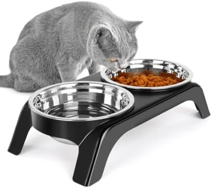 Befoco Elevated Cat Bowls, Anti Vomiting Raised Cat Food Bowl with 2 Stainless Steel Bowls, Prevent Neck Pain Cat Bowl Set, ABS Anti Slip Stand Cat Bowls for Indoor Cats & Puppies (Black)