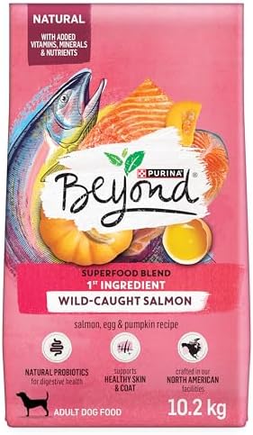 Beyond Superfood Blend Natural Dry Dog Food, Wild Caught Salmon, Egg & Pumpkin - 10.2 kg Bag