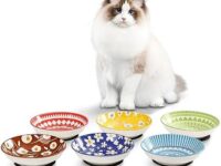 Ceramic Cat Bowls Cat Dishes - Fairy Tales Colorful Cat Bowl Set of 6 - Cat Feeding Bowls with Non Slip Mat - 5.75" Shallow Wide Cat Food Plate Whisker Friendly - Microwave Dishwasher Safe - 8.5 oz