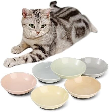 Ceramic Cat Food Bowl Set - Colorful Cat Feeding Bowls with Non Slip Mat - Wide Shallow Cat Bowl Whisker Friendly - Cat Plates - Cute Cat Dish - Microwave Dishwasher Safe - 6 Pack - 8.5 oz - 5.75 inch