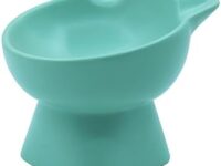 Ceramic Raised Cat Bowls,Elevated Cat Food and Water Bowl 15° Tilted Pet Bowl with Stand for Protecting Spine,Ceramic Cat Food and Water Bowl for Indoor Cats Small Dogs (Green)