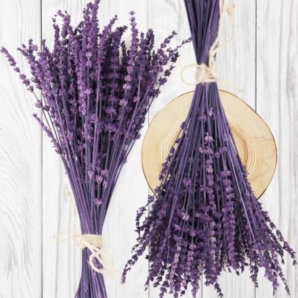 Dried Preserved Lavender Flowers Bundle-Natural Dried Lavender Bouquet 180-200 Stems 15''-17'' for Weeding Home Shower Vase Decor, Aromatherapy, Fragrance, Fresh, Dry, 2 Packs (Purple-2.82oz)