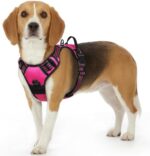 Eagloo Dog Harness No Pull, Walking Pet Harness with 2 Metal Rings and Handle, Adjustable Reflective Breathable Oxford Soft Vest Easy Control Harness for Small Medium Large Dogs, Rose Red, S