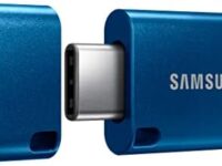 SAMSUNG Type-C USB Flash Drive, 256GB, Transfers 4GB Files in 11 Secs w/Up to 400MB/s 3.13 Read Speeds, Compatible w/USB 3.0/2.0, Waterproof - Canada Version