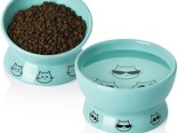 SWEEJAR Tilted Raised Cat Food and Water Bowl Set, Stress Free Elevated Cat Food Bowls, Protect Cat's Spine, Ceramic Pet Bowl Collection for Cats and Small Dogs, Set of 2 (Turquoise)