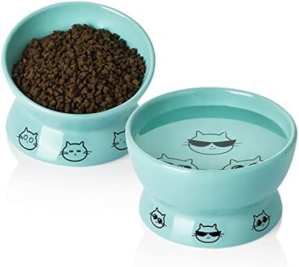 SWEEJAR Tilted Raised Cat Food and Water Bowl Set, Stress Free Elevated Cat Food Bowls, Protect Cat's Spine, Ceramic Pet Bowl Collection for Cats and Small Dogs, Set of 2 (Turquoise)