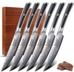 Sunnecko Damascus Steak Knives Set of 6 Non Serrated, Japanese VG10 Stainless Steel Steak Knives Dishwasher Safe, 5 Inch Steak Knives G10 Handle with Acacia Wood Gift Box