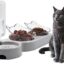 Triple Cat Bowls,15°Tilt 3-in-1 Water Feeder Bowls Cat Double Food Bowls with Automatic Water Bottle Bowl, Whisker Friendly Wet and Dry Cat Elevated Feeding Dishes for Small Cat and Puppy (Lead White)